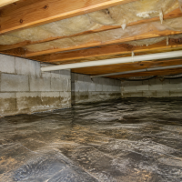 a crawl space with moisture issues